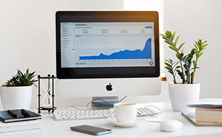 101真狗在线观看免费完整版 经典动画电影重温