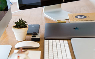 101真狗在线观看免费完整版 经典动画电影重温