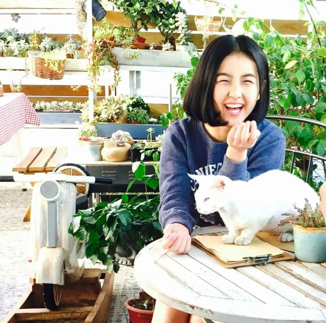 几乎没有黑粉的明星_演技与口碑并存的明星_娱乐圈没人怕的明星