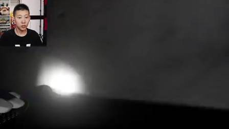 玩完这个游戏，就再也不想当侦探了！模特成精了？鲤鱼Ace解说